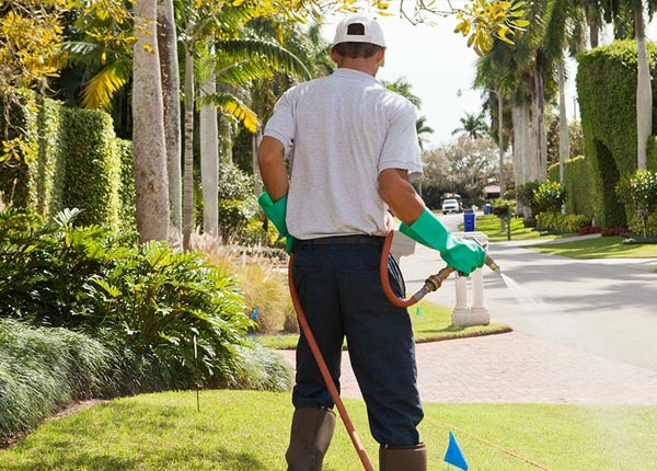 About Ontonagon MI Pest Control